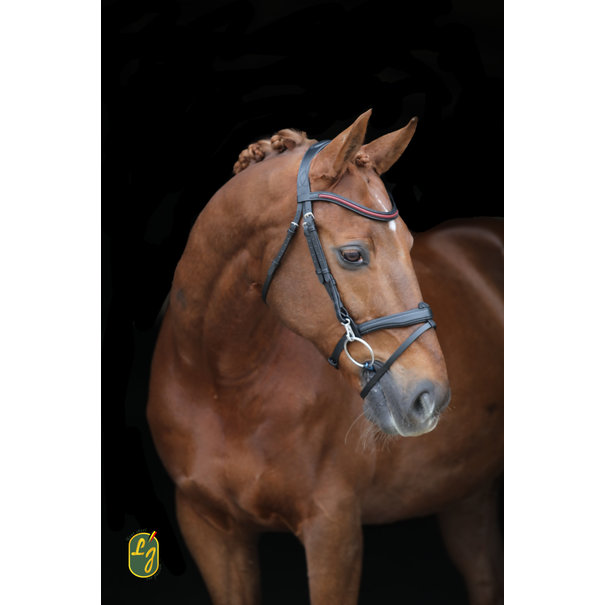 Lj Leathers Hoofdstel Frenchy Gecombineerde Neusriem Brown