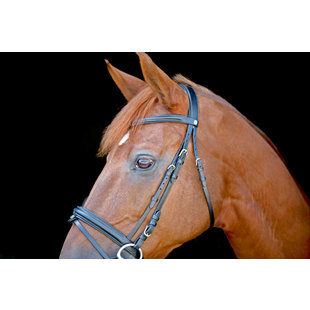 Hoofdstel New Classic Black