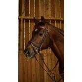 Flash noseband bridle - Working by Dy'on BROWN
