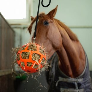 Hay Slowfeeder fun and flex 22 cm ORANGE