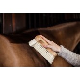 Body Brush middle soft BROWN