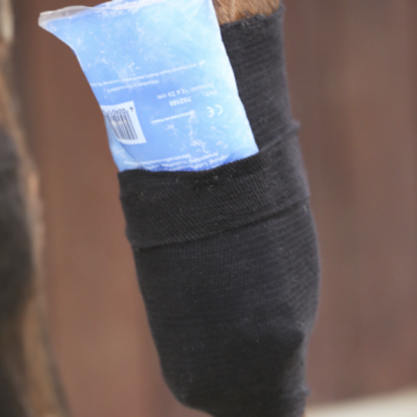 Kentucky Tendon Grip Sock BLACK