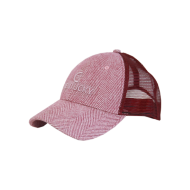 Kentucky Trucket Cap Wool PINK