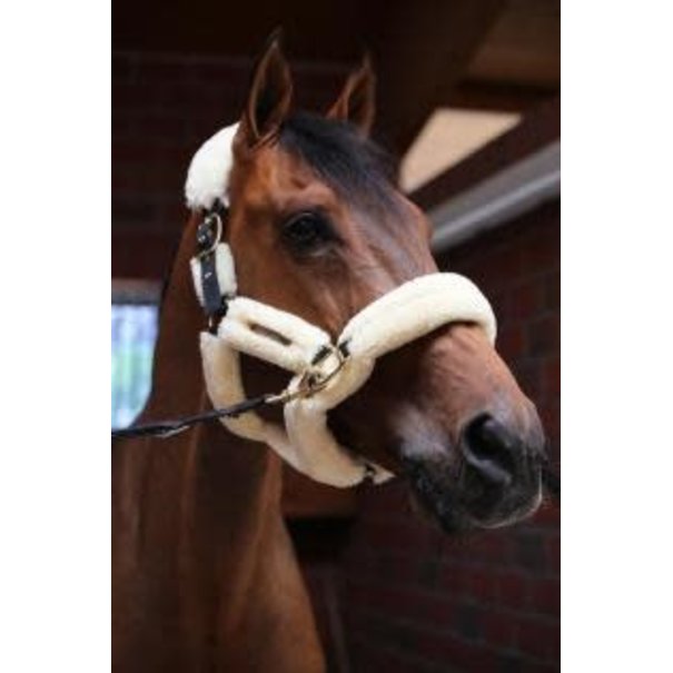 Kentucky Sheepskin Shipping Halter BEIGE