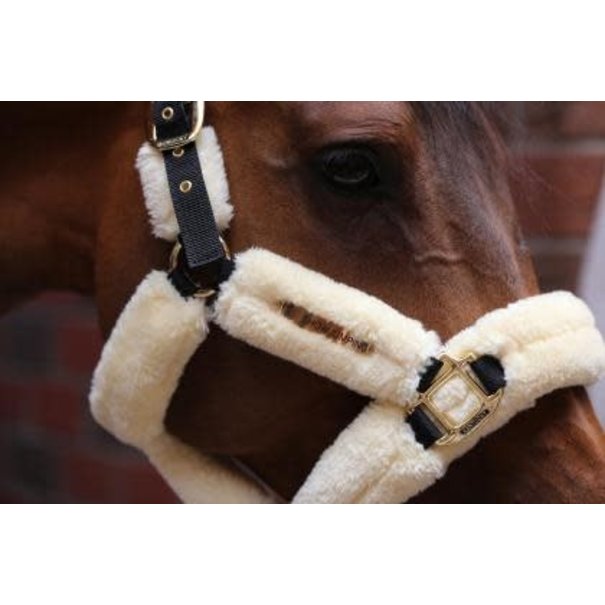 Kentucky Sheepskin Shipping Halter BEIGE