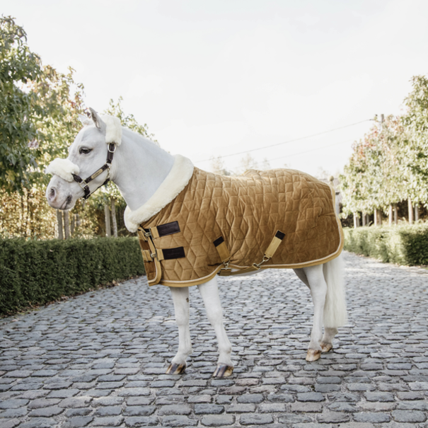 Kentucky Show rug velvet Sammy Mustard