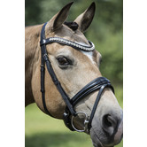 Hoofdstel Argento lak aansnoer neusriem Black