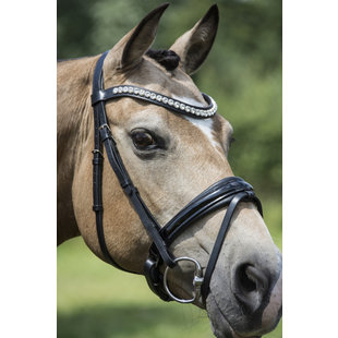 Hoofdstel Argento lak aansnoer neusriem Black