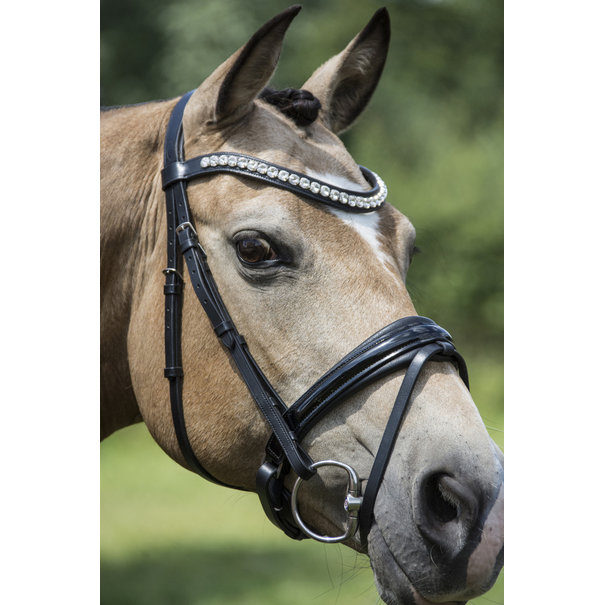 Lj Leathers Hoofdstel Argento lak aansnoer neusriem Black