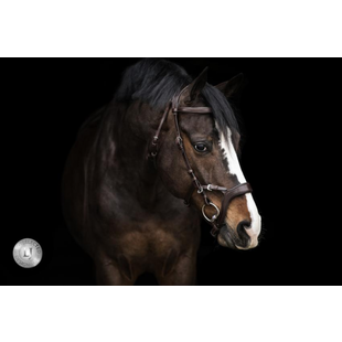 Pro Selected Hoofdstel Jackson Black