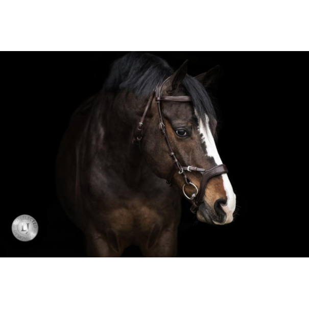 Lj Leathers Pro Selected Hoofdstel Jackson Black