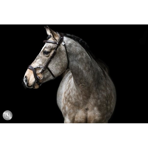 Lj Leathers Pro Selected Hoofdstel Jackson Black