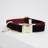 Dog Collar Corduroy BORDEAUX