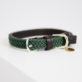 Plaited Nylon Dog Collar GREEN