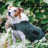 Dog Coat Waterproof Green