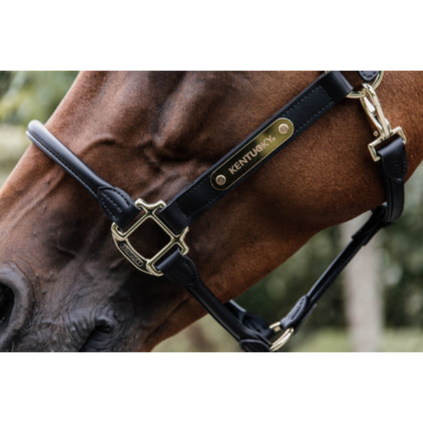 Kentucky Anatomic Leather Halter Black