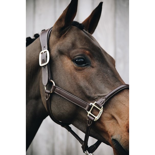 Kentucky Anatomic Leather Halter Brown