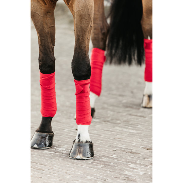 Kentucky Polar fleece bandage velvet Red