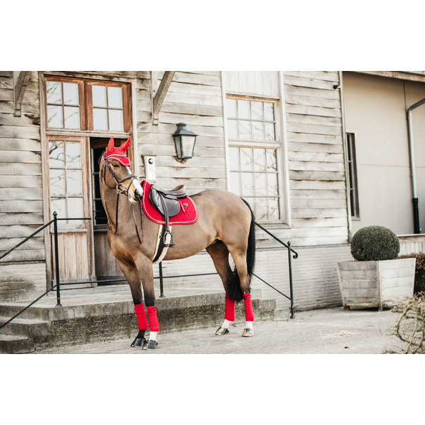 Kentucky Polar fleece bandage velvet Red