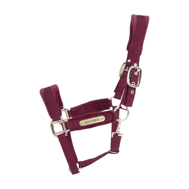 Kentucky Velvet Halter Bordeaux