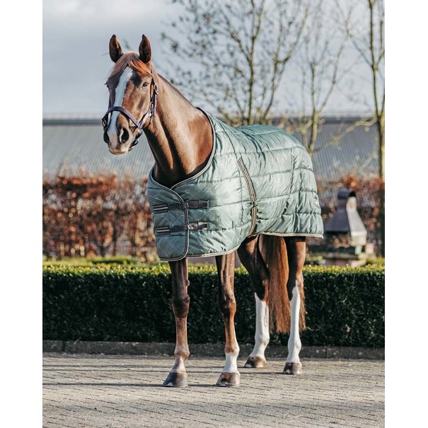 QHP Staldeken start collection 200gr Stirrup/Olive