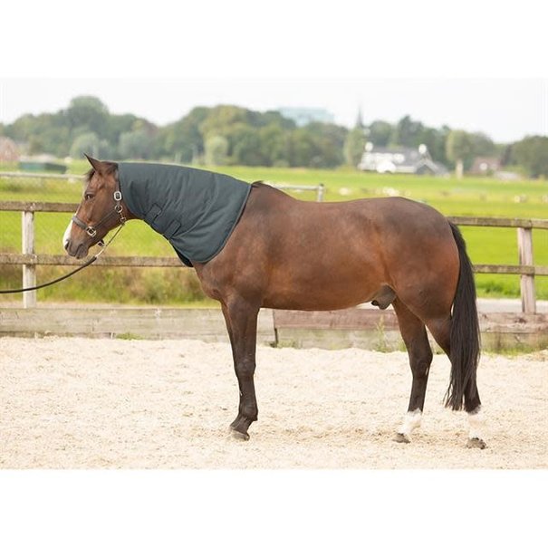 Harry's Horse halsstuk thor 200g GREY