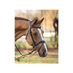 Hoofdstel Laca Black COB