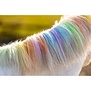 Regenboogkrijt voor manen en staart