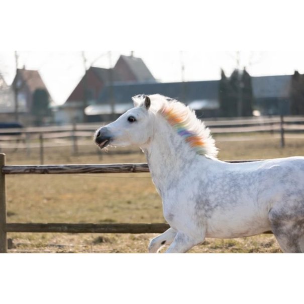 Holland Animal Care Regenboogkrijt voor manen en staart
