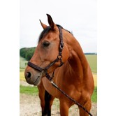 Halstertouw GoLeyGo, met adapterpin, 16 mm x 2 m