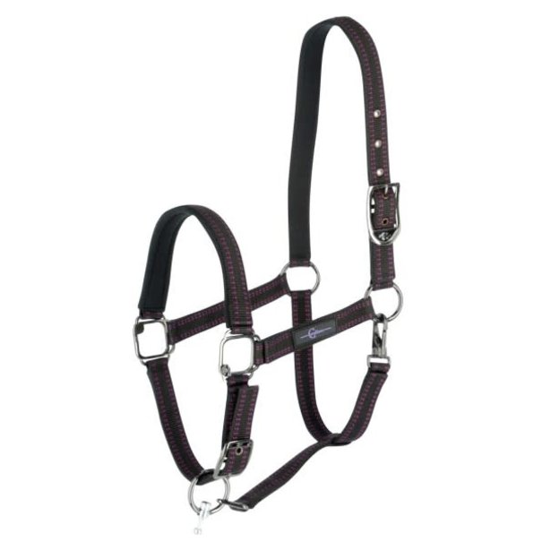 Halstertouw GoLeyGo, met adapterpin, 16 mm x 2 m