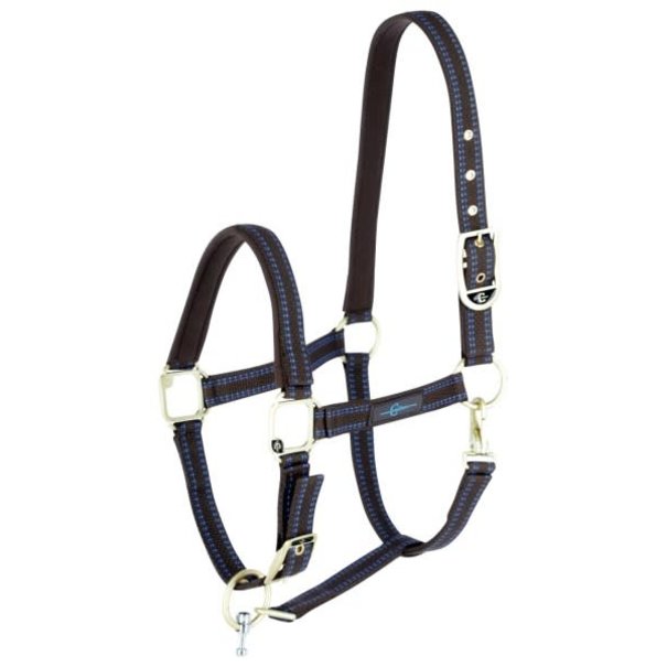 Halstertouw GoLeyGo, met adapterpin, 16 mm x 2 m