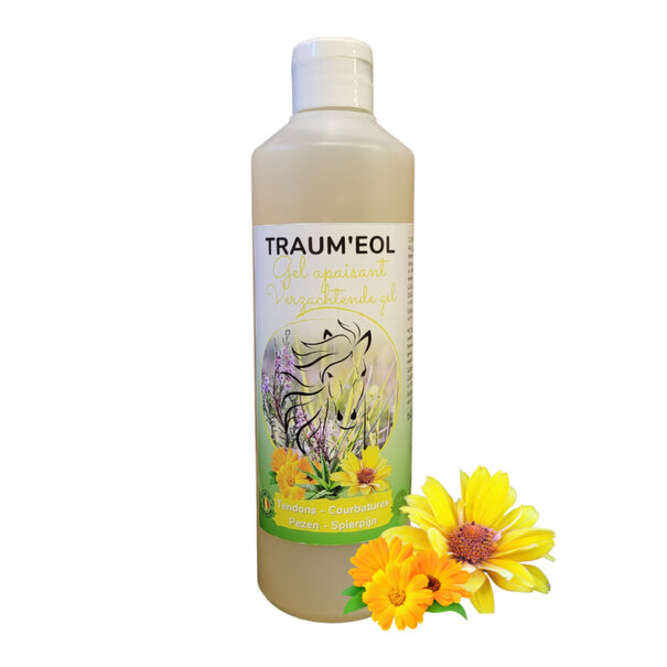 Essence Of Life Traum'EOL 500ml