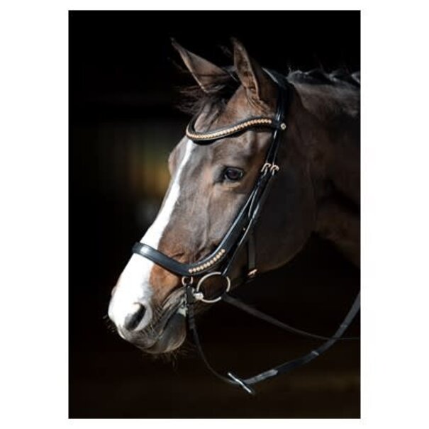 Harry's Horse Hoofdstel Anatomic Rosegold Black