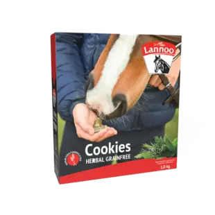 Lannoo Cookies Herbal Grainfree