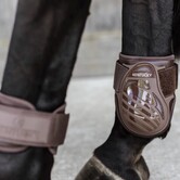 Young Horse Fetlock Boots Brown L