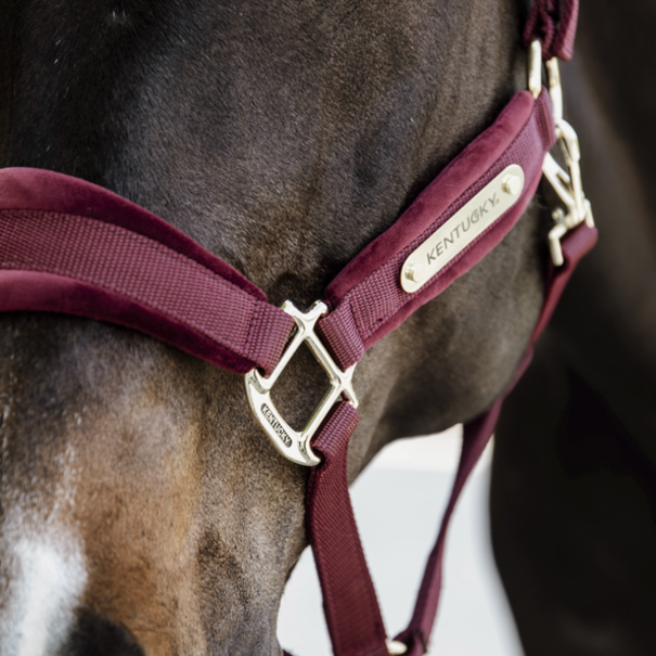 Kentucky Velvet Halter Bordeaux