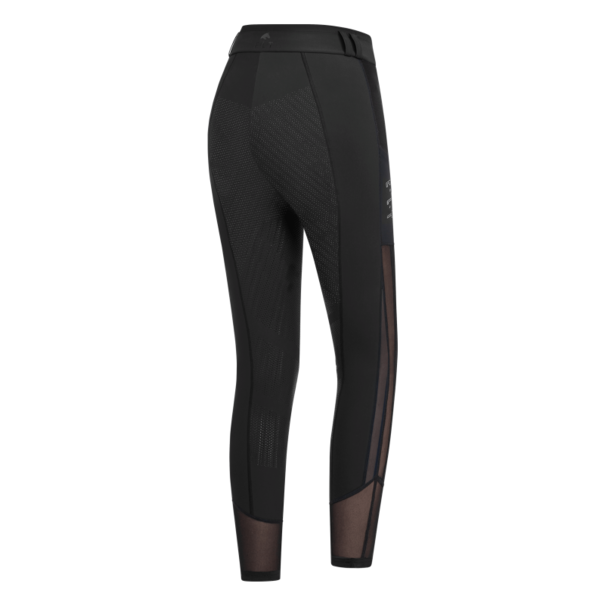 Waldhausen Paardrijlegging Nina Mesh