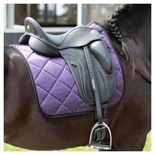 Harry's Horse Zadeldek Denici Cavalli Amethyst