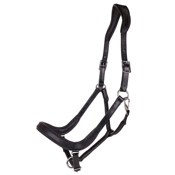 QHP Lederen Halster Salerno Anatomisch Black