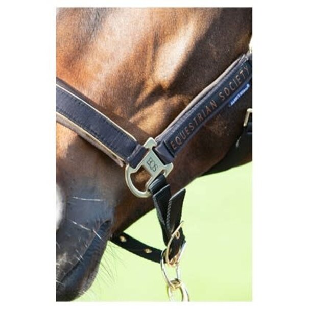 Harry's Horse Halsterset Kirchberg Winter 24