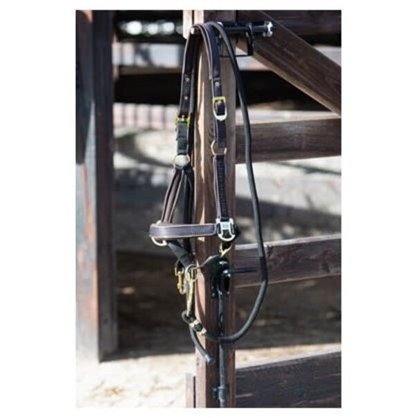 Harry's Horse Halsterset Kirchberg Winter 24