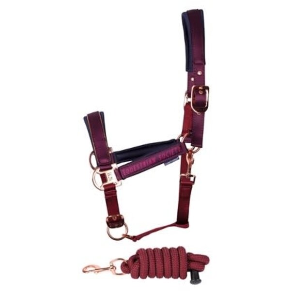 Harry's Horse Halsterset Kirchberg Winter 24