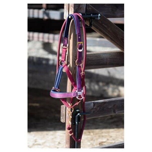 Harry's Horse Halsterset Kirchberg Winter 24