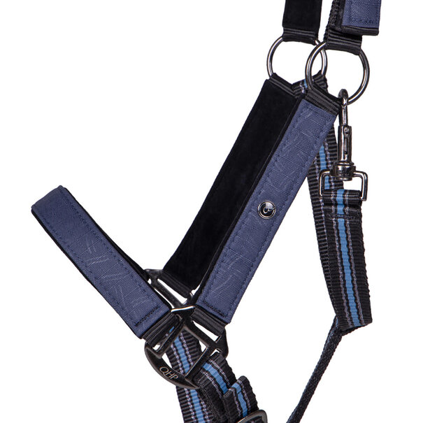 QHP Halster