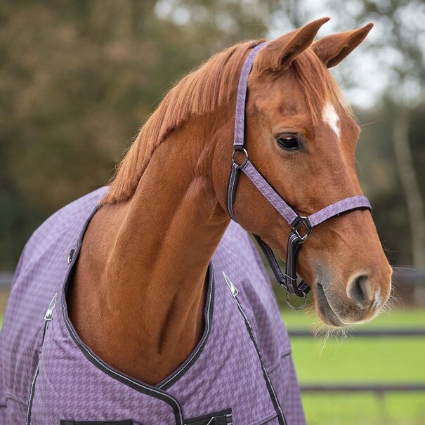 QHP Halster