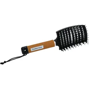 Excellent Horse Supreme Borstel Gold