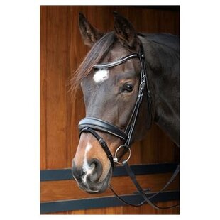 Hoofdstel Petit Crystal Black