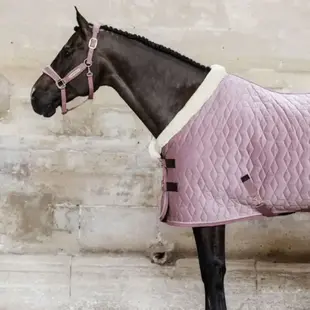 Show rug velvet Rose 140/191