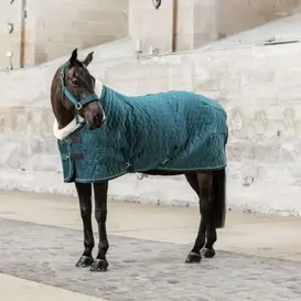 Show rug velvet Emerald 145/198